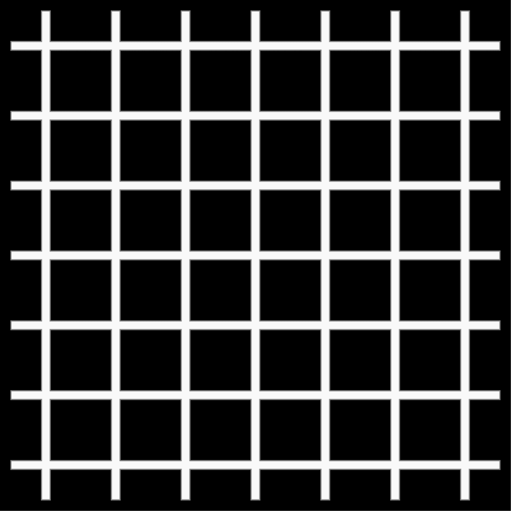 The Hermann Grid Illusion