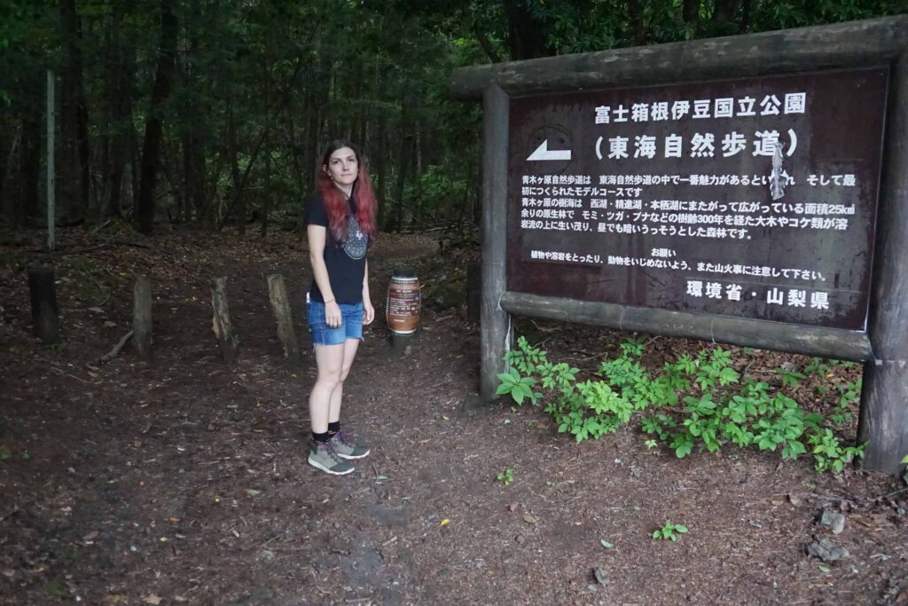 Aokigahara Forest, Mount Fuji, Japan