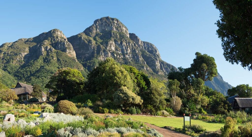 kirstenbosch botanical gardens, mountain, 