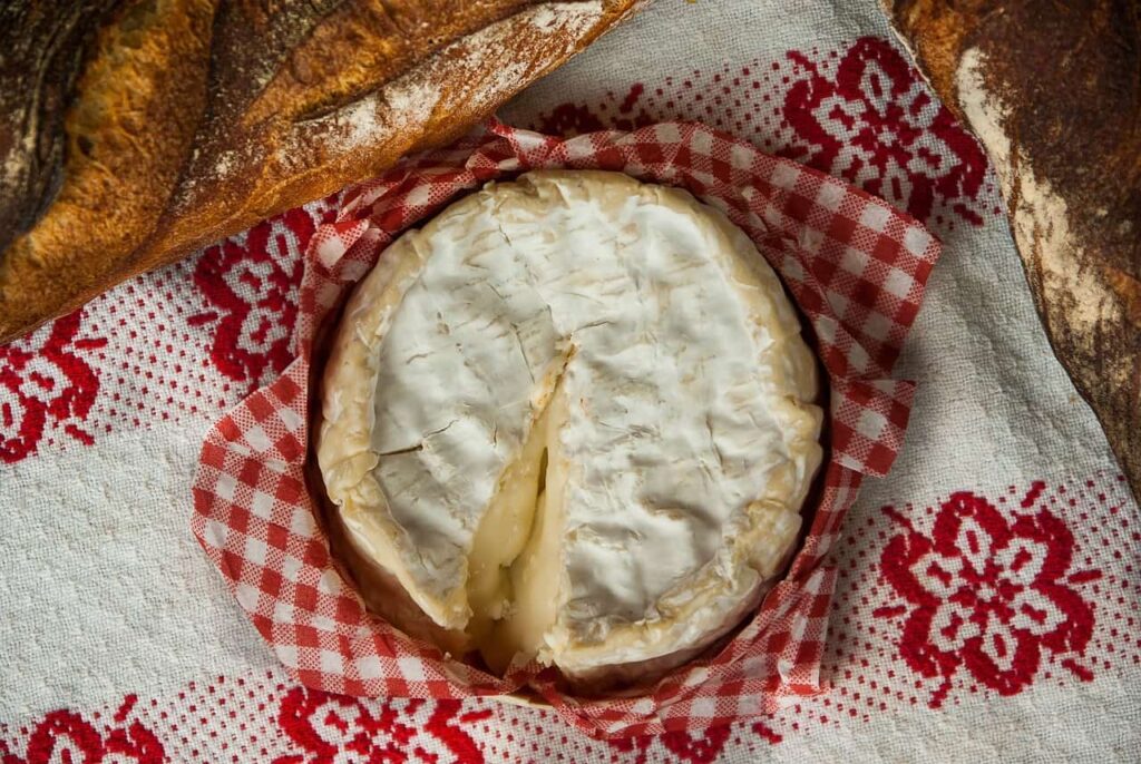 normandy, camembert, cheese