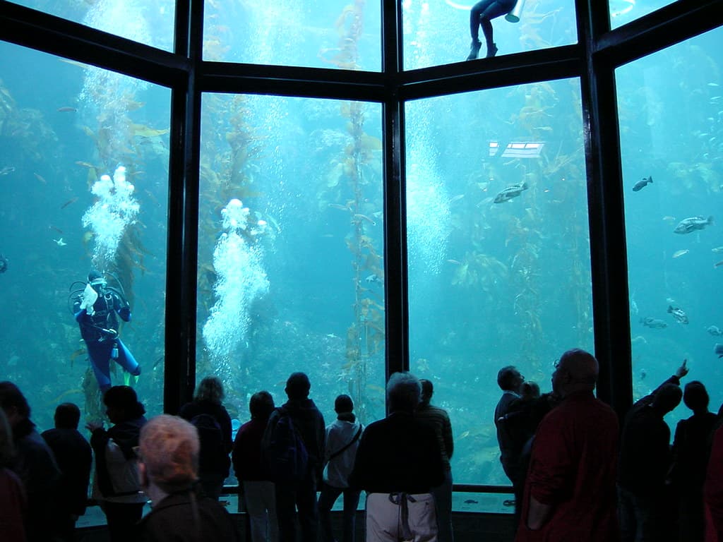 Monterey Bay Aquarium