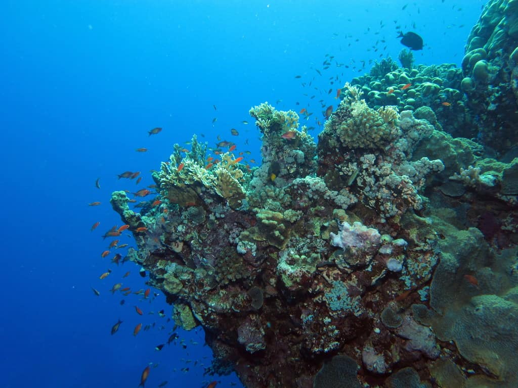  Red Sea, Egypt