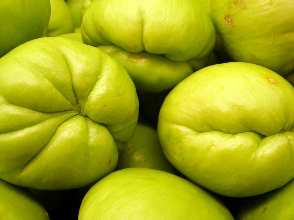 Chayote