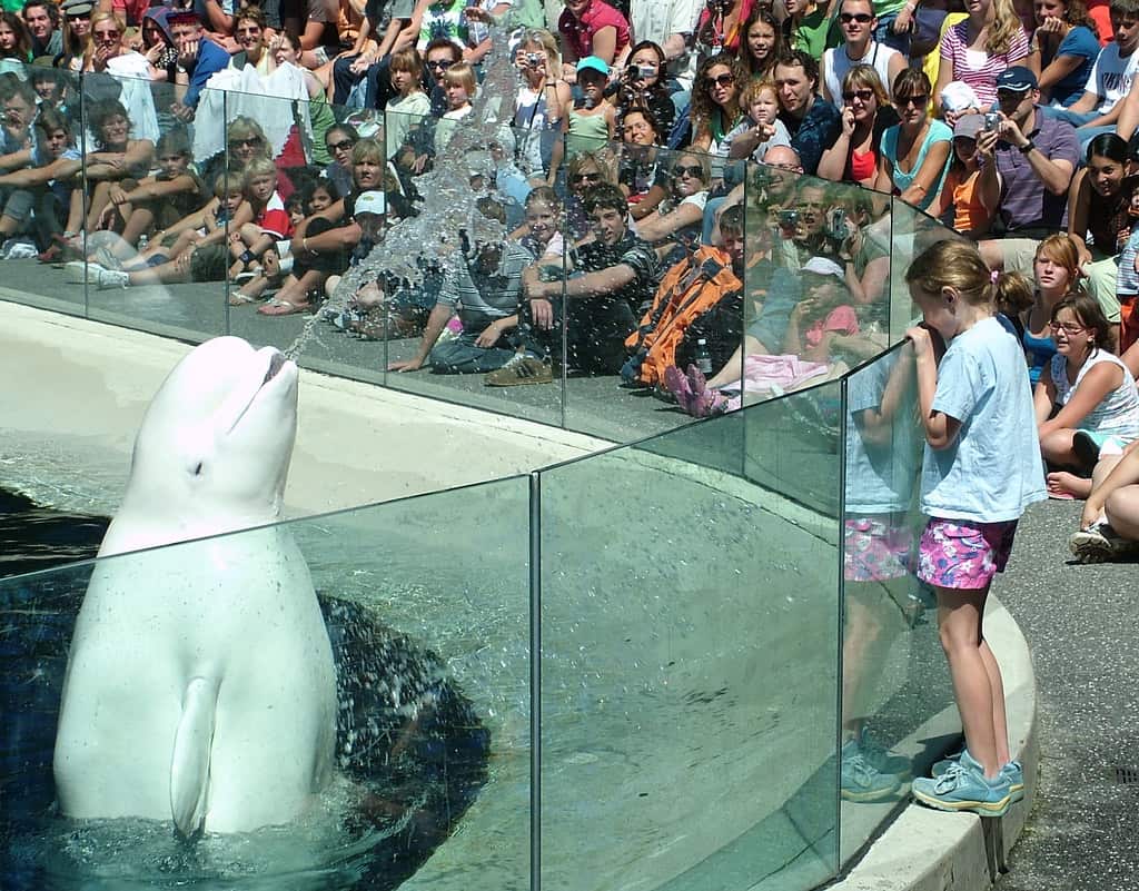 Sydney Aquarium, Australia