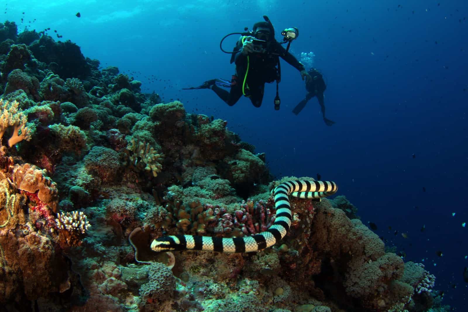 Palau, Micronesia