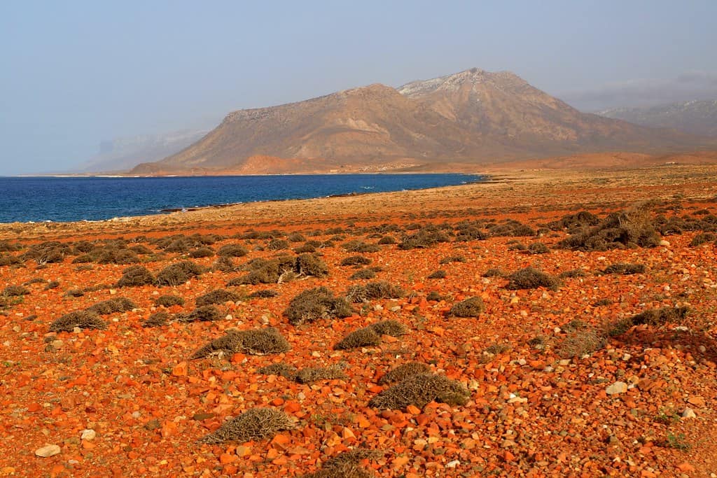 Socotra, Arabian Sea