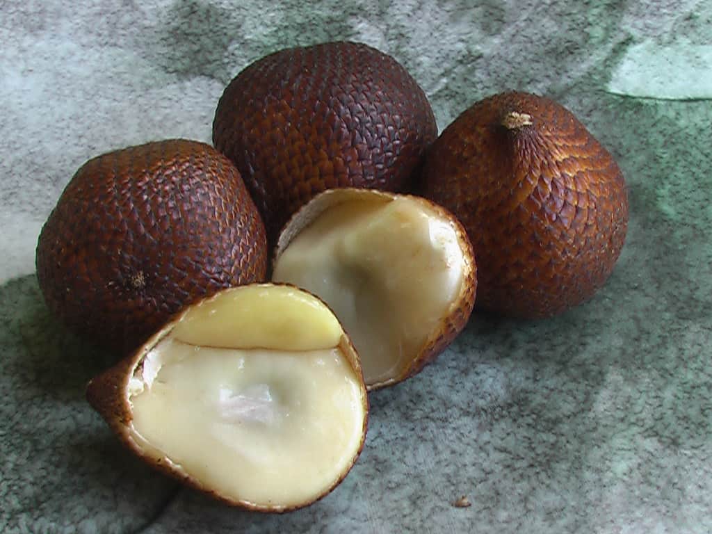 Salak